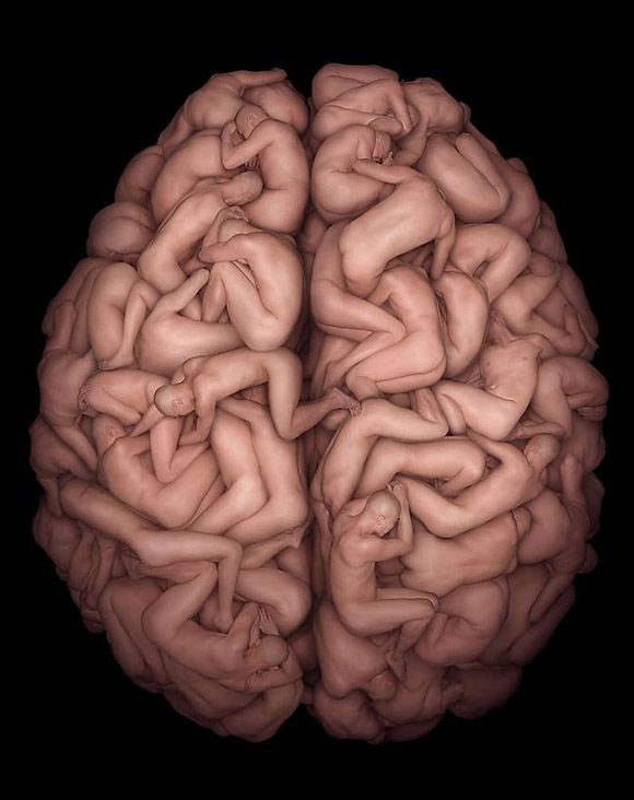 brainbodies