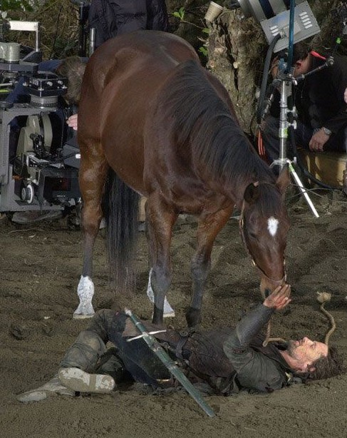 Viggo horsing around